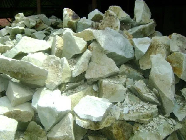 Gambar Batu Zeolite untuk Filter Kolam