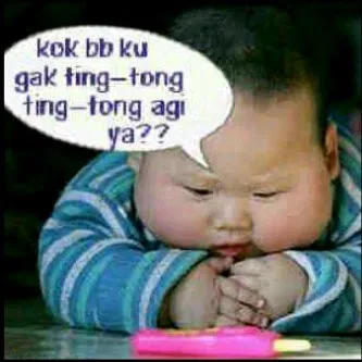 db bb lucu