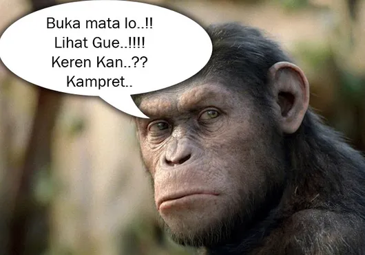 Kumupulan 150 Kata Mutiara Konyol Koplak Gokil Ngaco Bikin Otak Gila