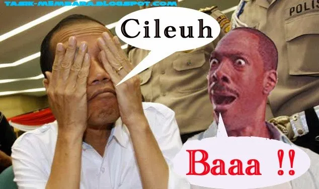foto gambar lucu terbaru
